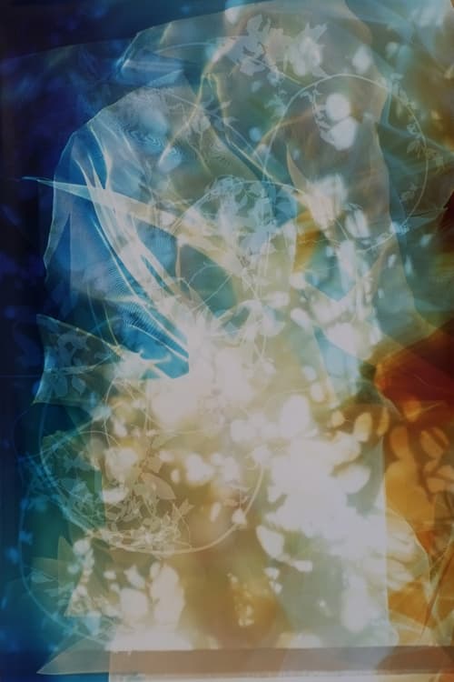 Why Contemporary Photographers Are Rejecting the Camera