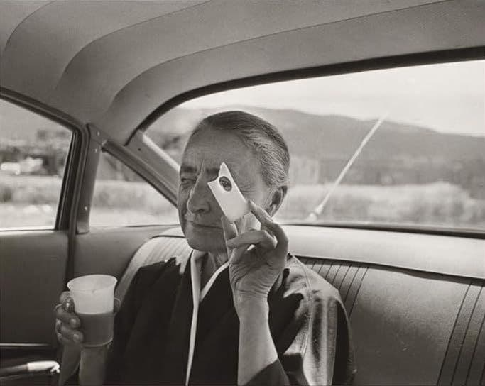 In Megan O’Grady’s Magnificent New Book ‘How It Feels to Be Alive,’ a Treatise on the Art of Looking