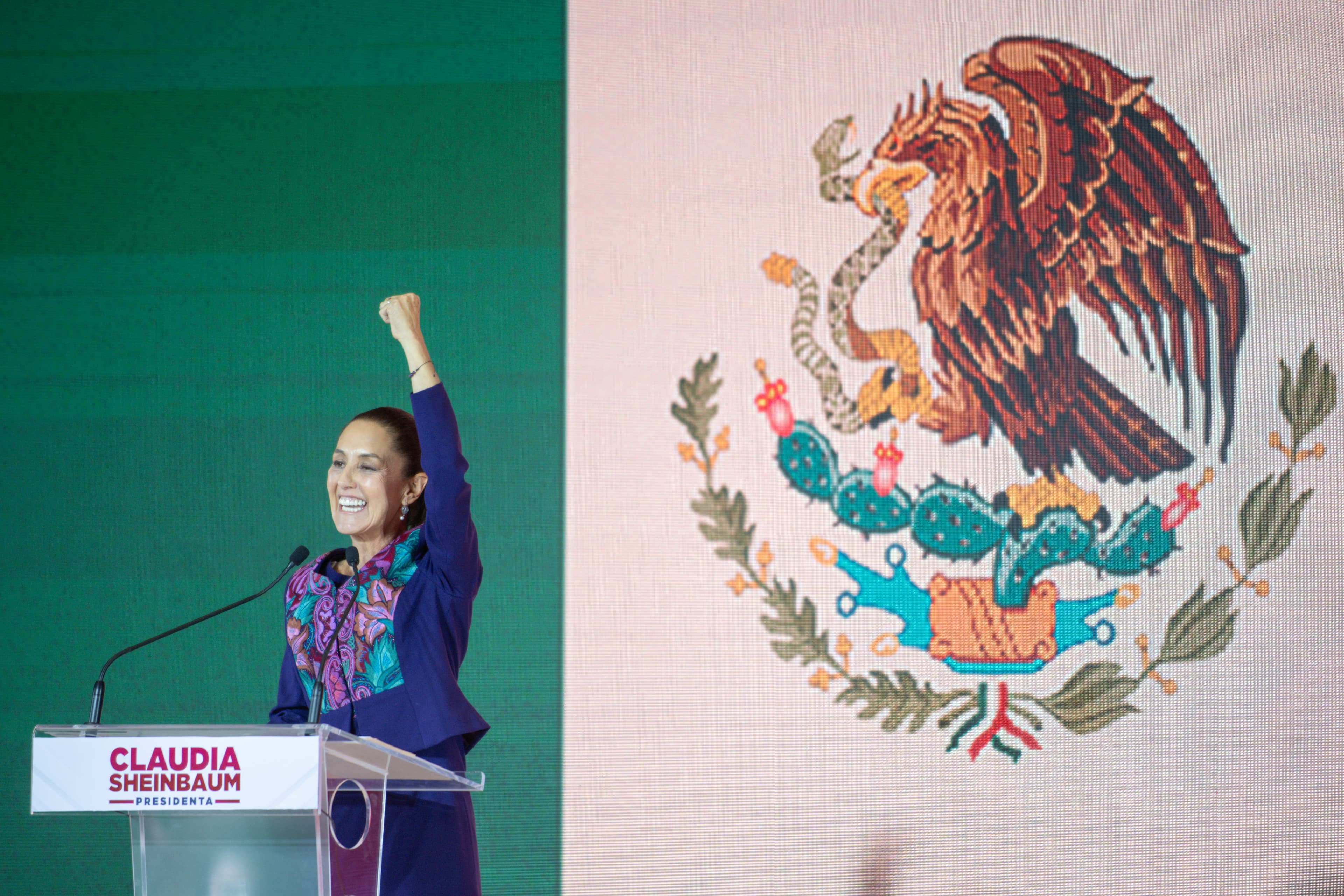 Morena and Its “Fourth Transformation”: Reducing Inequality in Mexico