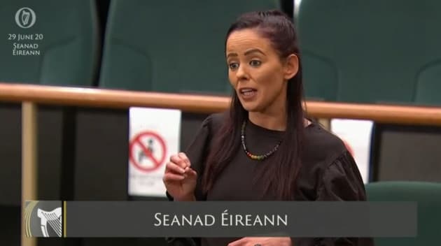 Senator Eileen Flynn says she has faced worst online abuse and hate yet in past week