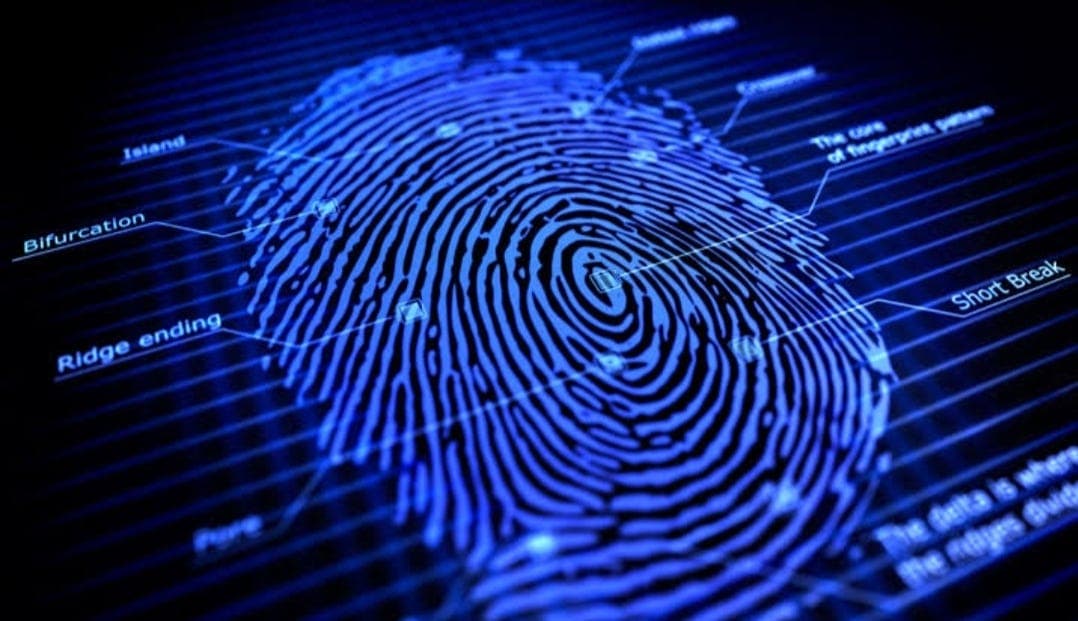 The Silent Witness : How Fingerprints Expose the Truth