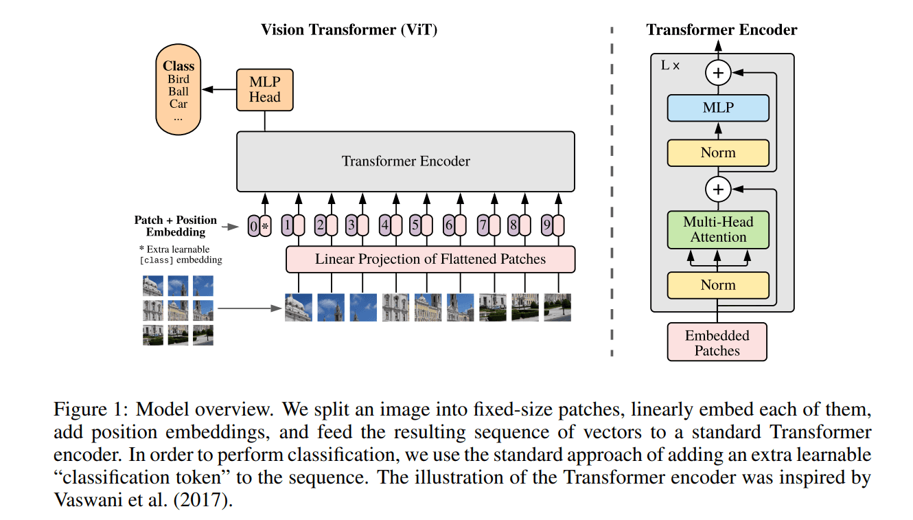 Can Vision Transformers Replace CNNs (And When They Can’t)