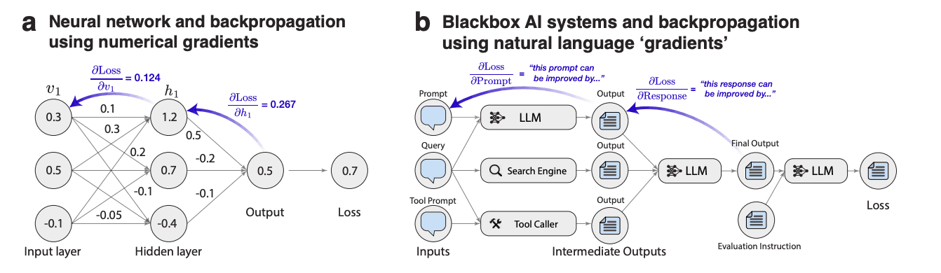 What If LLMs Learn Better from Language Than from Rewards?