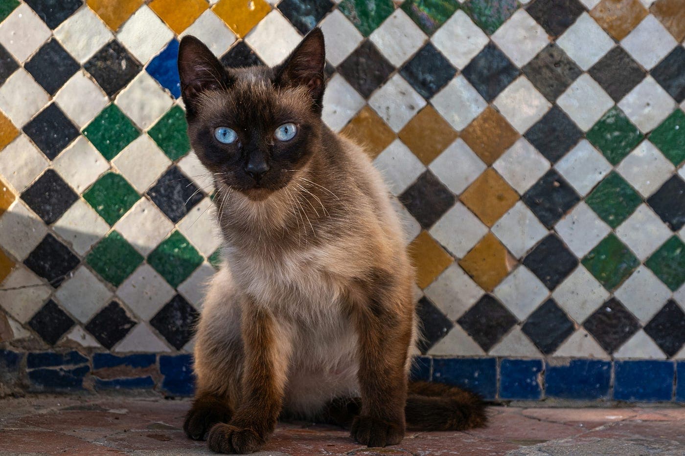 Gumroad: You made a sale! $7.00