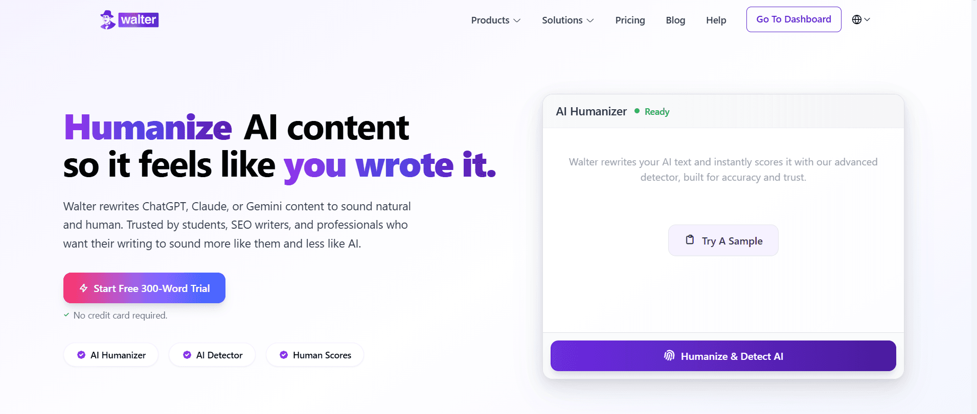 Walter Writes AI Review: The Best AI Humanizer?