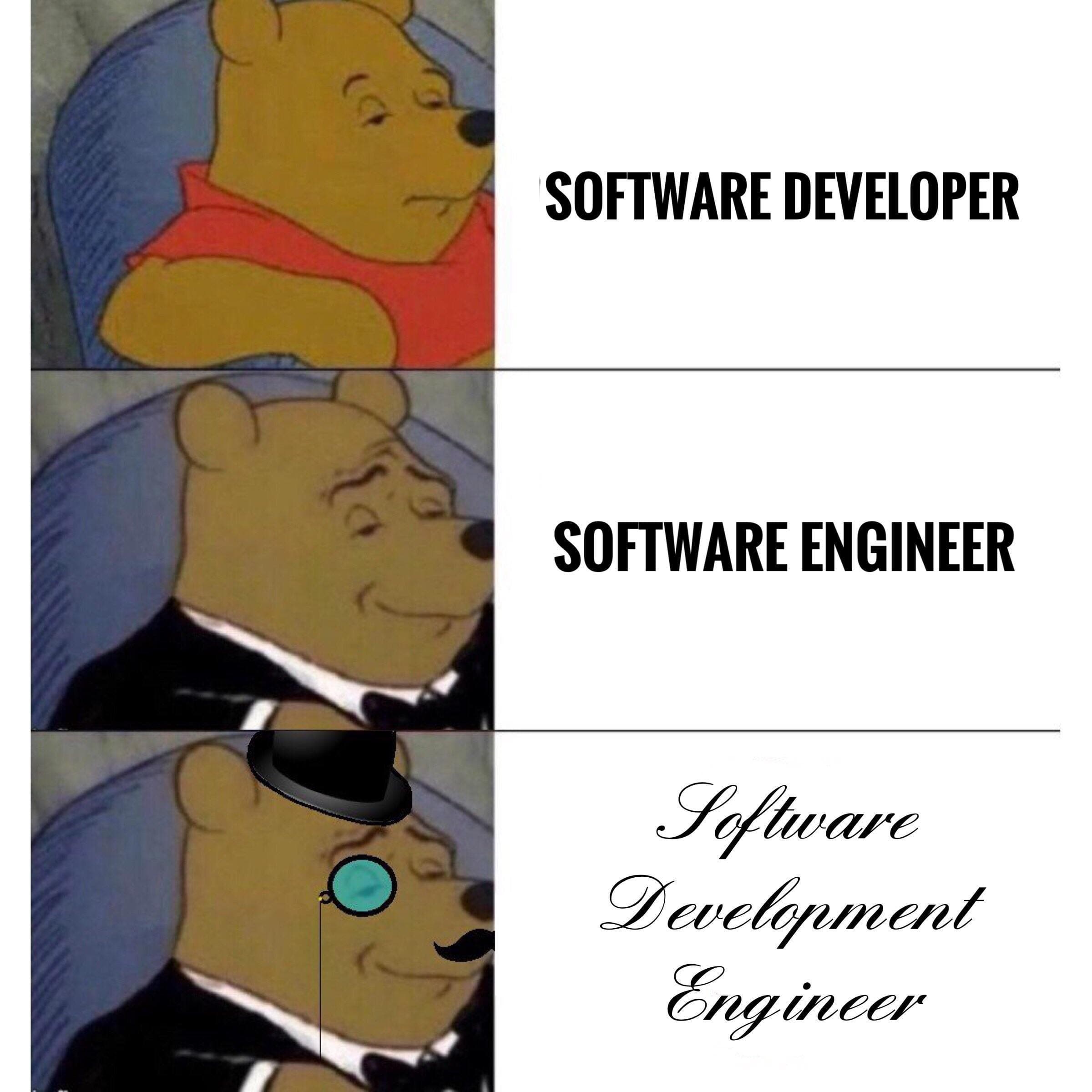 Are you a Software Developer or a Software Engineer?