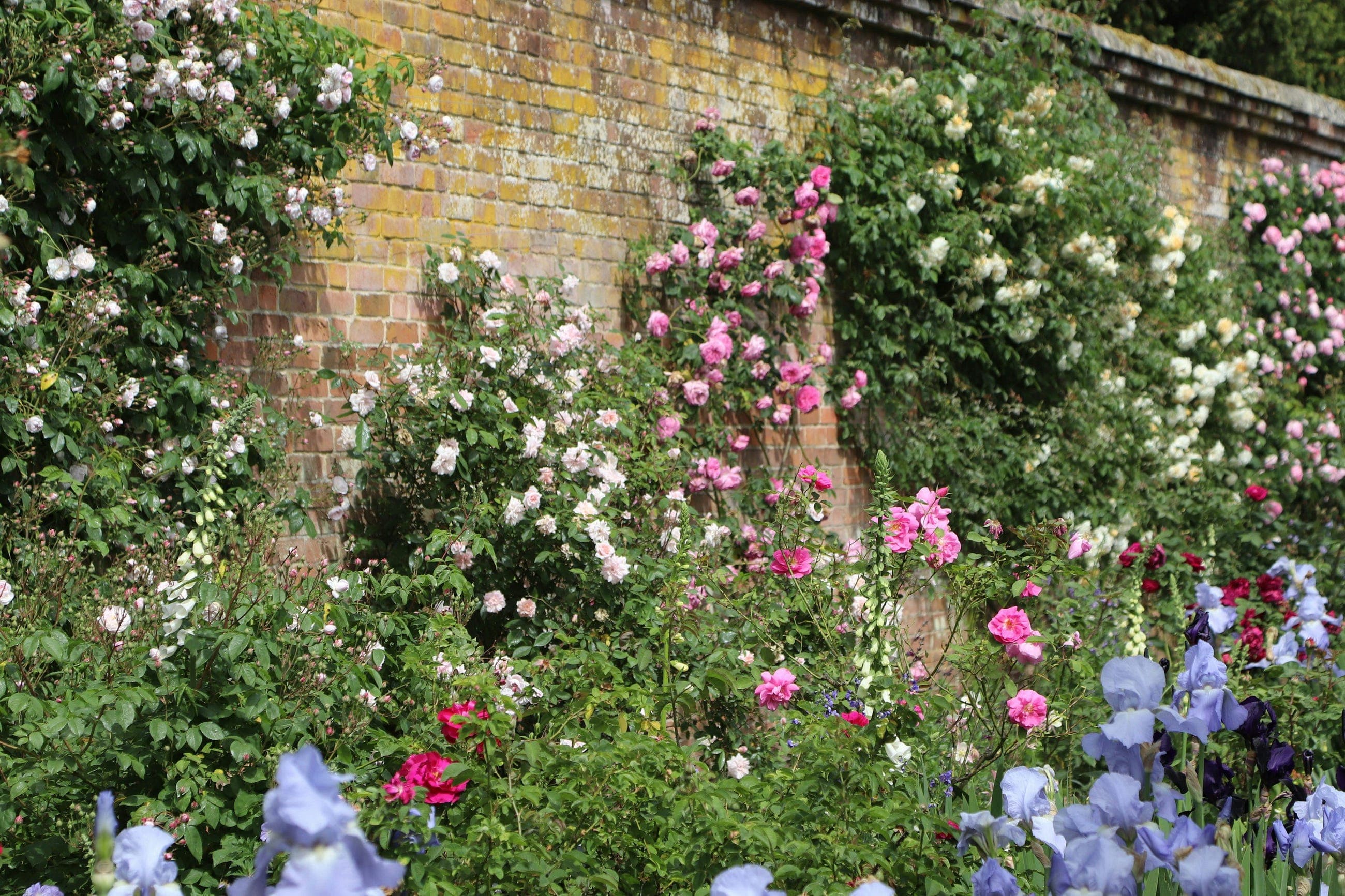 The Proof is in the Pixel (and the Heart)