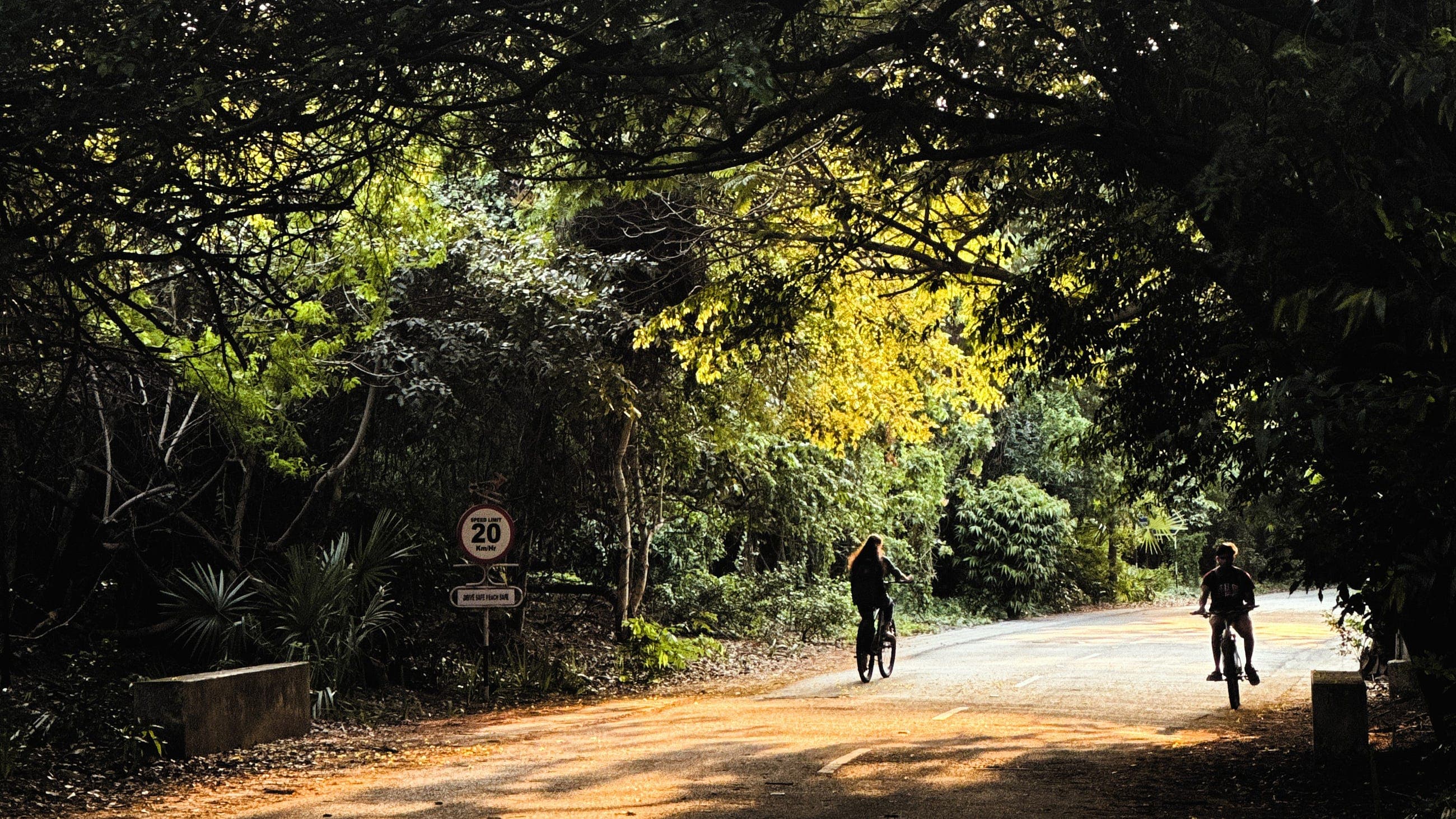 But What is Stacking Regressor ? (A Brief Introduction)