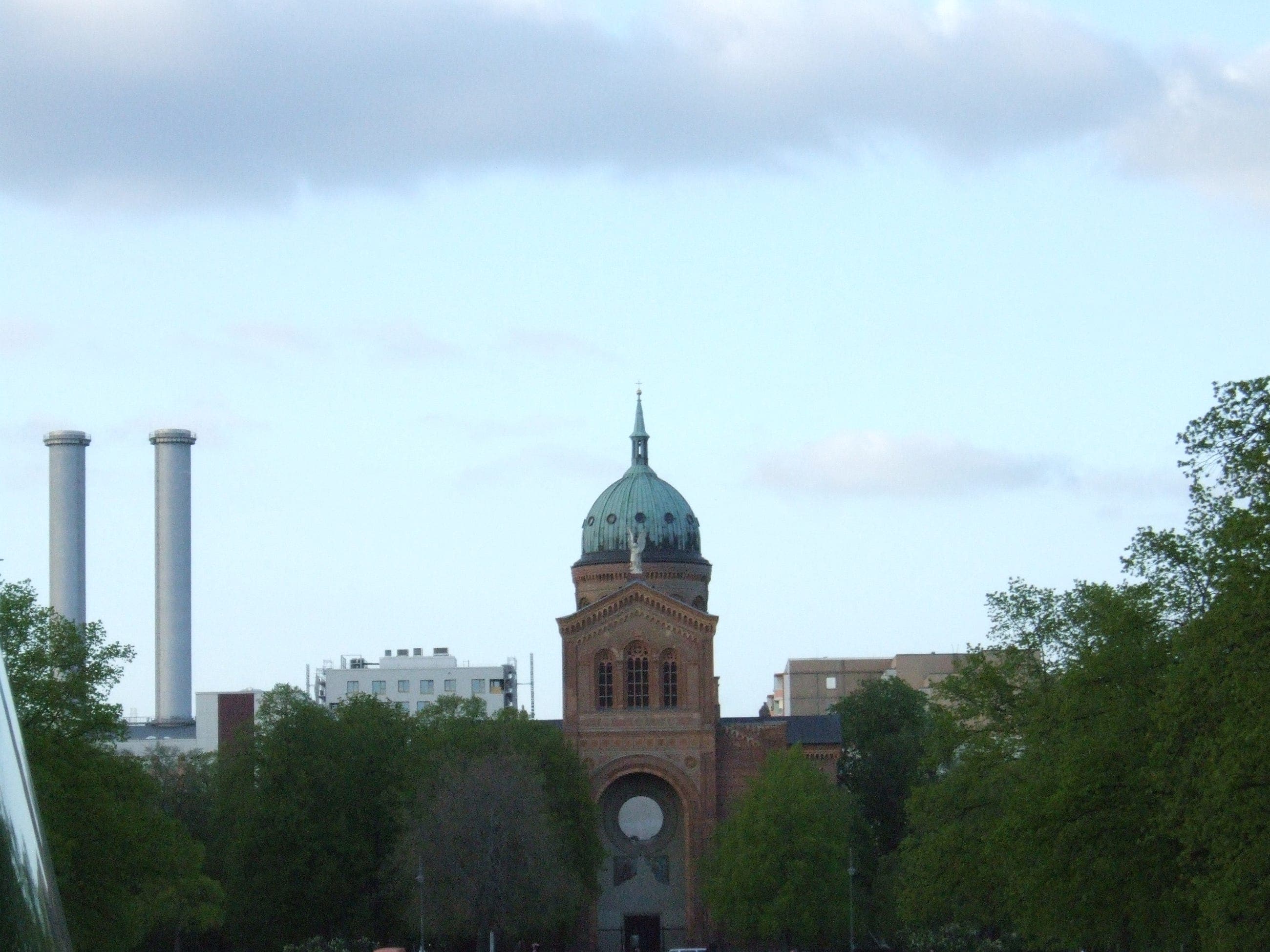 From Domesticated Dogs to AI Companions: