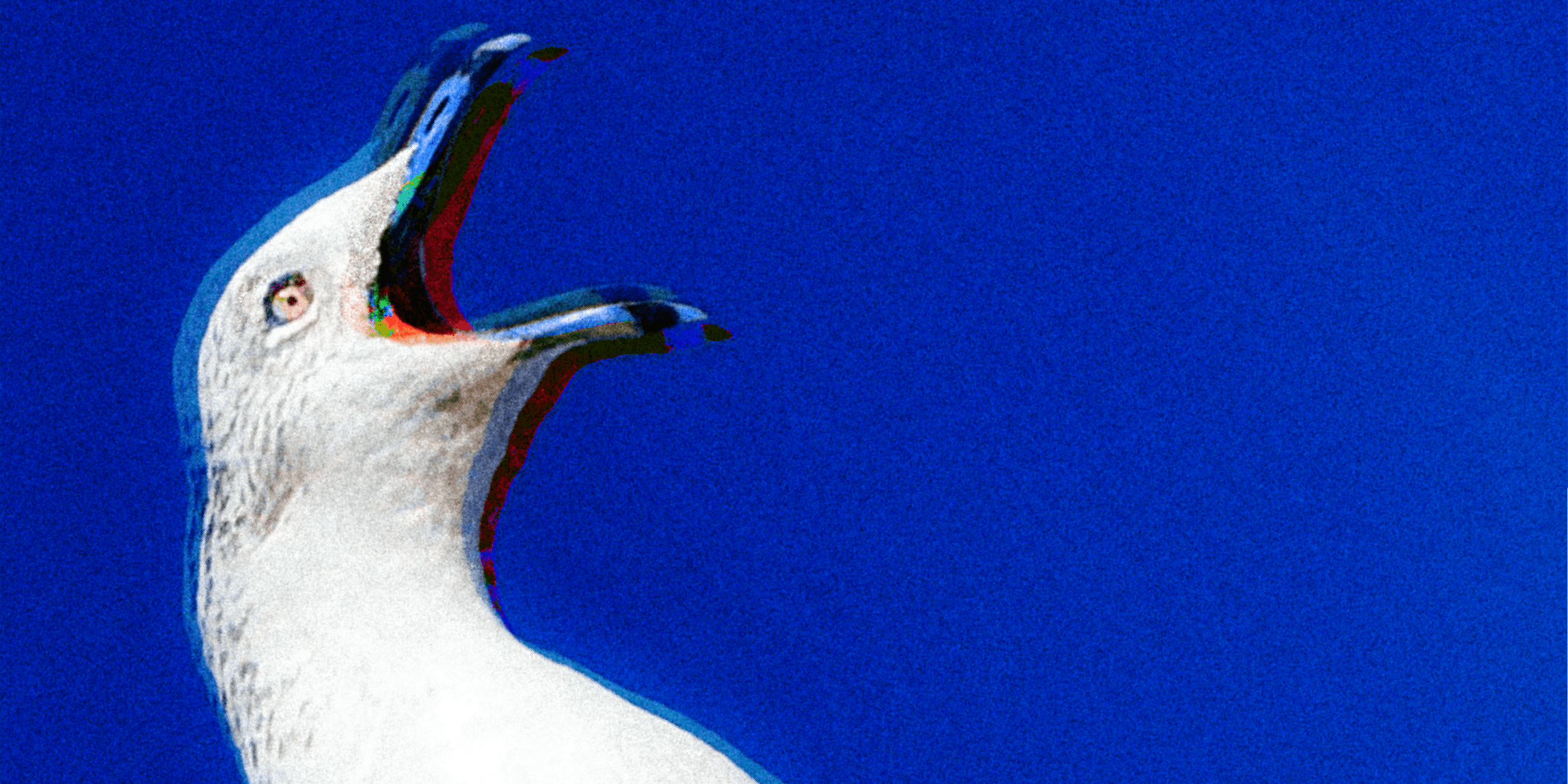 Why I’m mailing my friends mixtapes in 2026