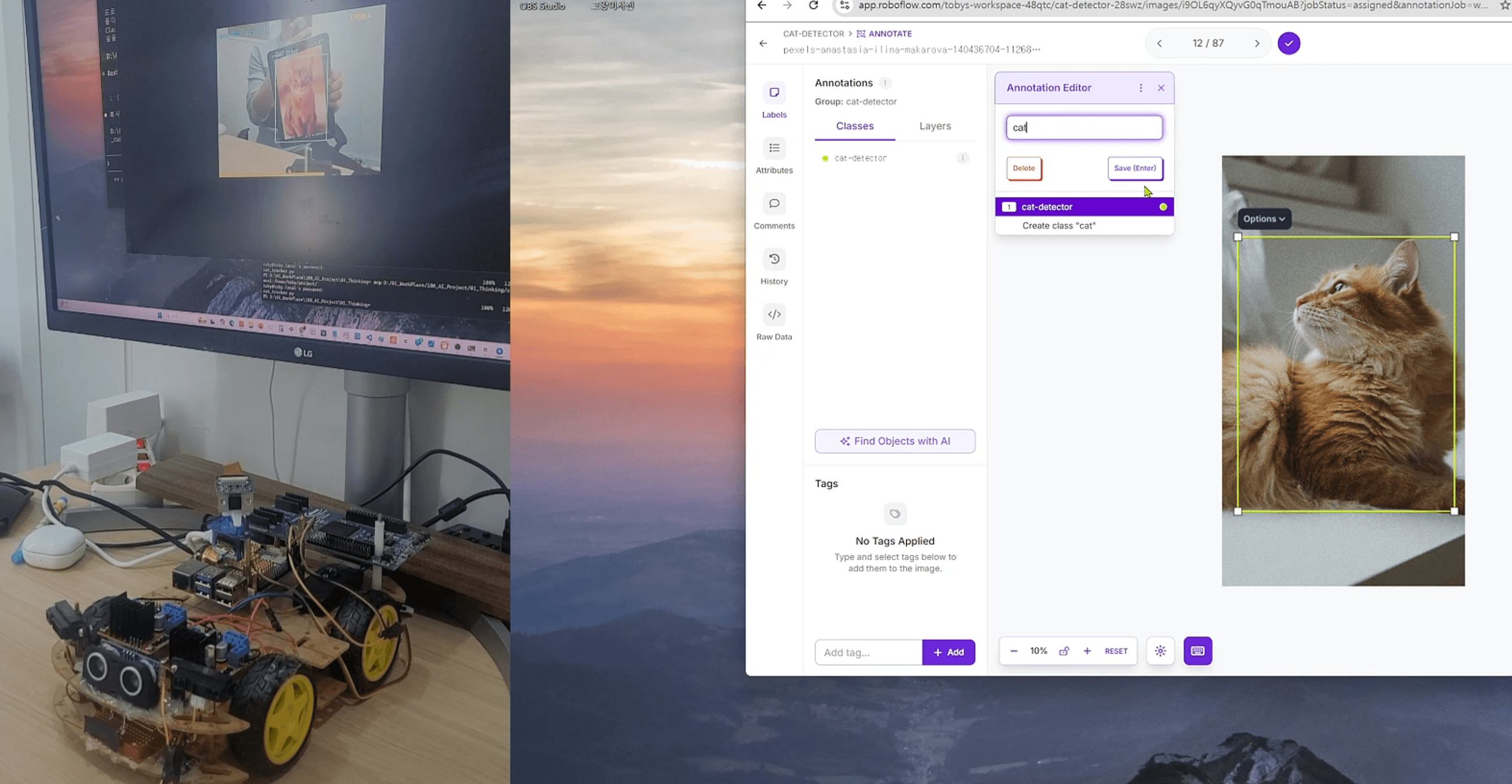 EP.19 | I Trained a Cat AI with 87 Photos — Then It Recognized a Soccer Player
