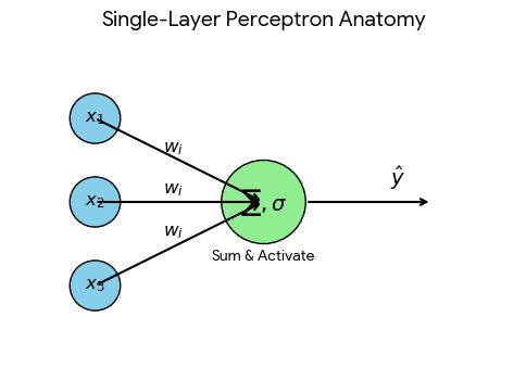The Deep Calculus of Artificial Intelligence: A PhD-Level Decomposition of Neural Network…