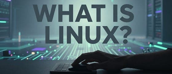 20 Best Linux Distros That Will Surprise You