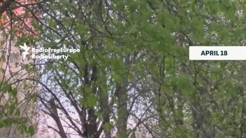 Shooter Kills Six In Daylight Incident In Kyiv