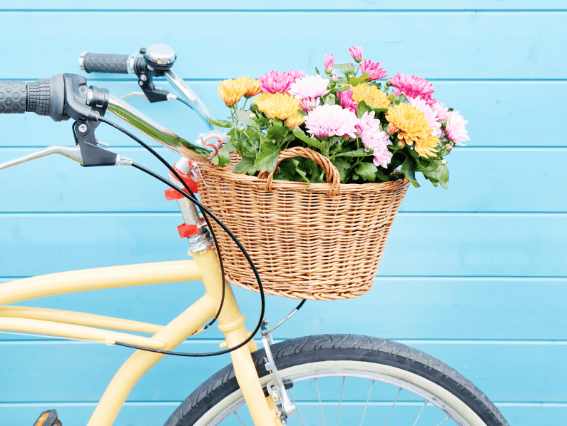 The Curator: Beginner’s guide to buying bikes for 2026 – find your perfect ride