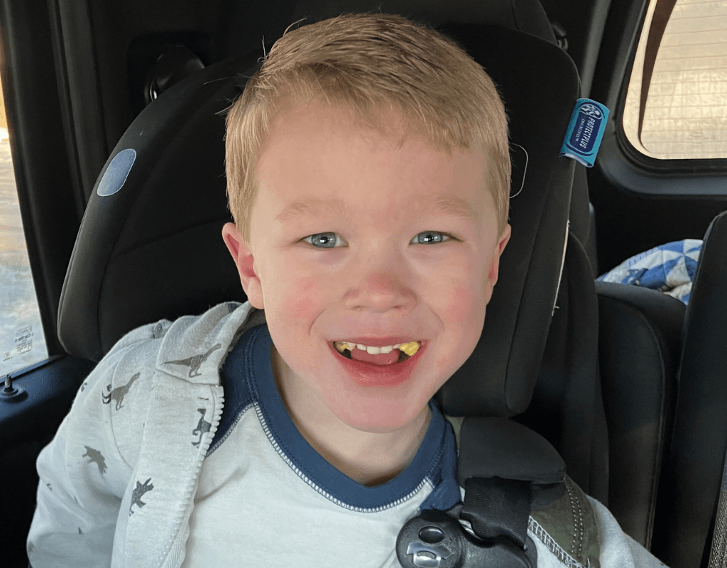 5-year-old Minnesota boy fighting for his life after saving brother from icy creek