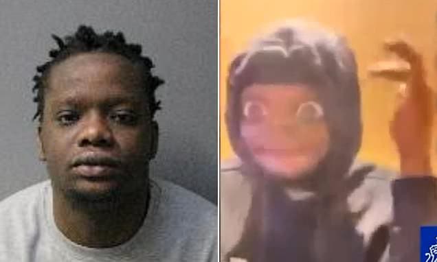 Moment knife attacker boasts 'I touched his brain' after stabbing stranger, 20, in the head in case of mistaken identity - as he is jailed for 27 years