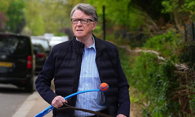 DAN HODGES: I told No 10 seven months ago that Mandelson failed his security vetting