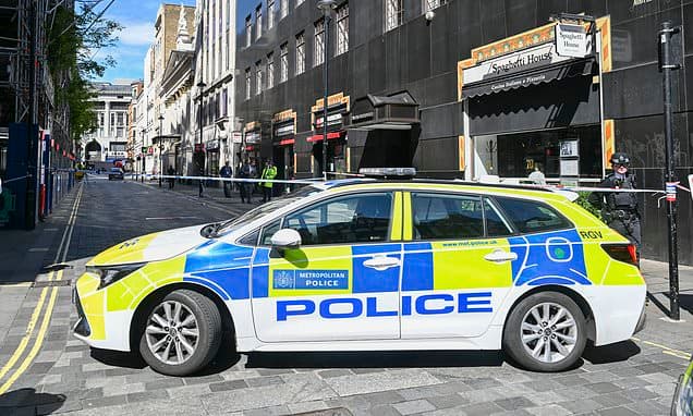 Car ploughs into pedestrians in Soho leaving woman critically hurt and man with life-changing injuries - as police arrest woman, 29, for 'attempted murder'