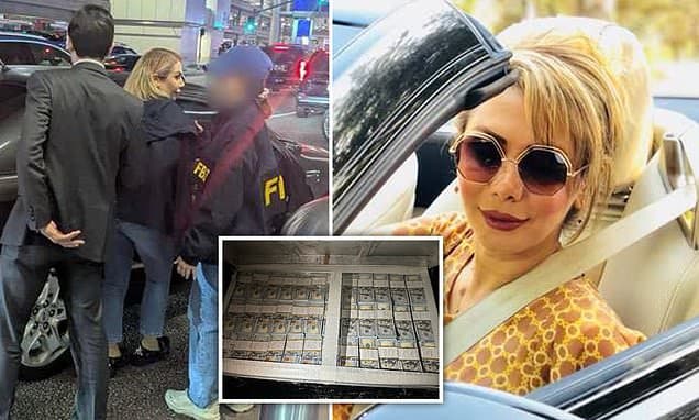 Glamorous Iranian woman living high life in Los Angeles is arrested for 'trafficking deadly drones and bombs for Tehran'