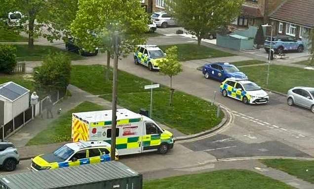 Armed police carrying chainsaw swooped on home when Call of Duty gamer's powerful speakers led to fears gunshots were real