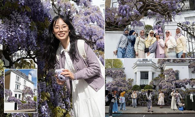 Wisteria hysteria brings misery to West London: Owners of millionaire mansions complain of influencers turning up in minibuses, erecting pop-up changing tents and breaking their plants