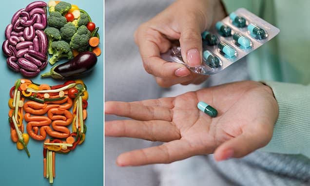 Why you DO need a probiotic when taking antibiotics... and which type is best for you