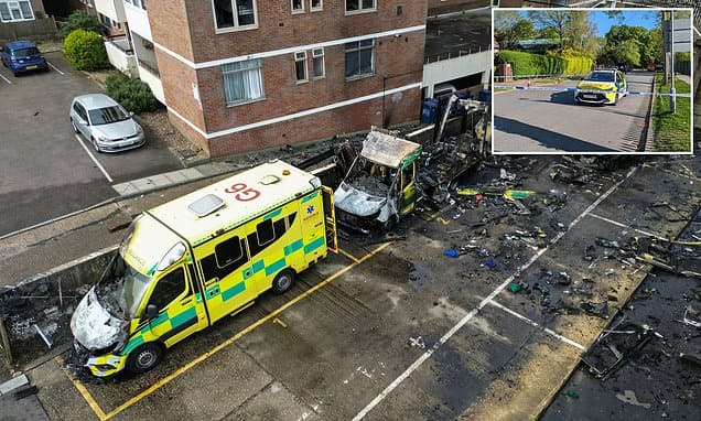 Eight further people are arrested by counter-terror police after spate of arson attacks in London