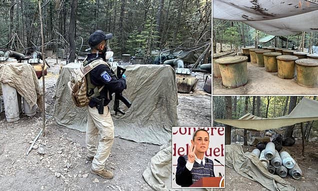 Two CIA officers killed in Mexico when their car skidded off ravine and exploded after meeting about bust of 'largest ever drug lab'