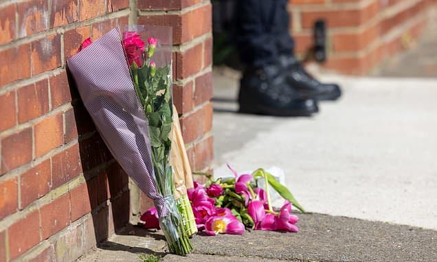 Three-month-old baby girl fatally attacked by 'pocket bully-type' dog died of a head injury, inquest hears