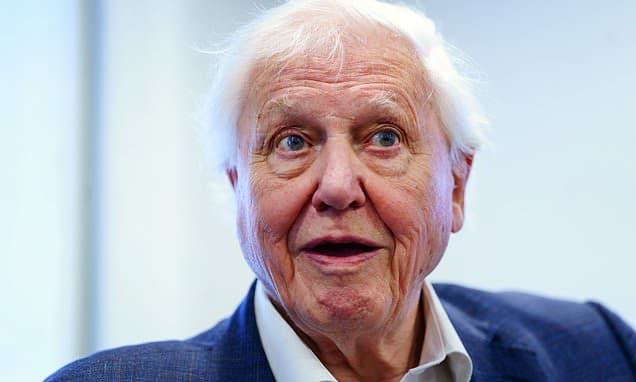 DOMINIC LAWSON: As national treasure David Attenborough turns 100, I'm going to say the unsayable