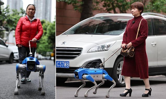 Man's metal best friend? Visually impaired people test robot guide dogs