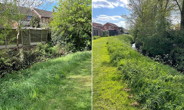 Pensioner, 76, and his neighbours face paying five-figure sum to maintain stream outside their homes after council invokes centuries-old law
