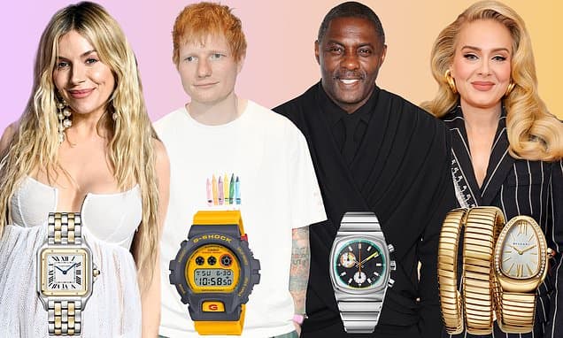 What does your watch say about you? Expert reveals the accessory that makes you look 'powerful', the timepiece that's 'more art than utility' - and which models are REALLY worth splurging on