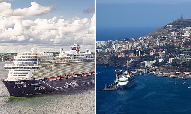 Toddler, two, is left 'fighting for their life' after 'falling several metres' on board cruise ship