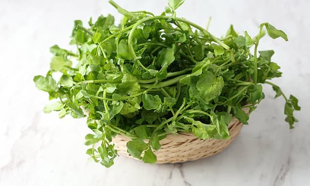 Trendy salad sold at supermarkets nationwide recalled due to salmonella risk: Health chiefs warn, 'do NOT eat'