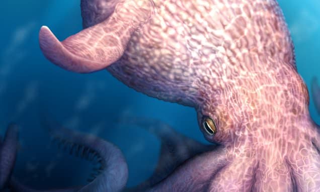 The real-life KRAKEN: Giant octopuses the same size as sperm whales roamed the oceans 72 million years ago, study finds