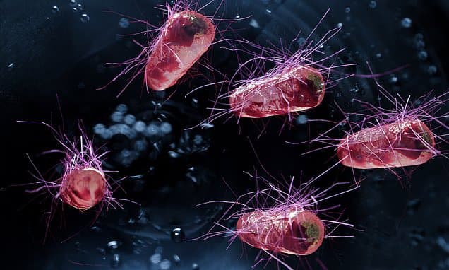 Food poisoning hospitalisations rise by nearly 90 per cent in five years: Experts blame 'risky' kitchen habits and supermarket contaminations