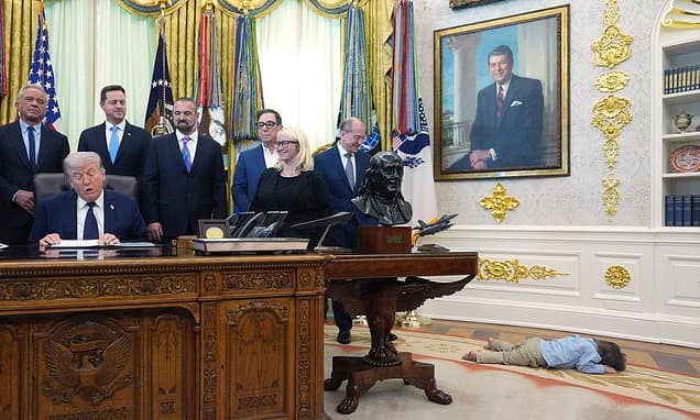 Trump's three-word remark as 'miracle' toddler steals the show in the Oval Office