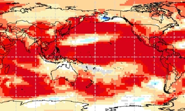 Brace yourself for a SUPER El Niño: Likelihood of unusual climate pattern skyrockets - as scientists warn it could push global temperatures to record highs