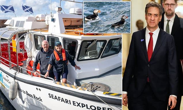 Ed Miliband's puffin 'killing fields': How the world's largest wind farm off the coast of North Berwick will massacre thousands of seabirds