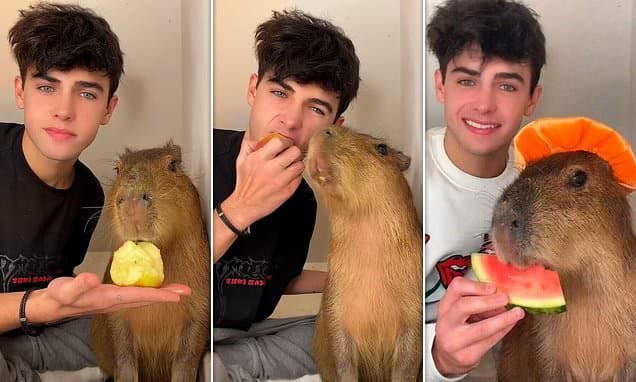 TikTok star Kyle Thomas set to be new Blue Peter presenter as CBBC bosses hope his 34 million followers will boost viewing figures