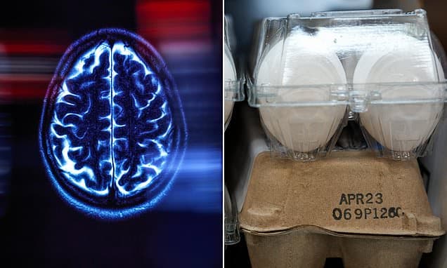 Scientists say eating eggs just twice a week cuts Alzheimer's risks by a fifth
