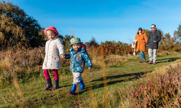 Parenting expert's advice on how to 'build your village' as new research reveals more than a tenth of parents have no support