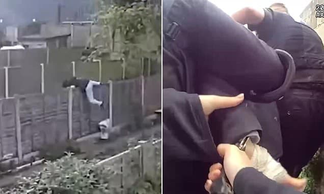 Moment thief leads police on Hot Fuzz-style chase over garden fences