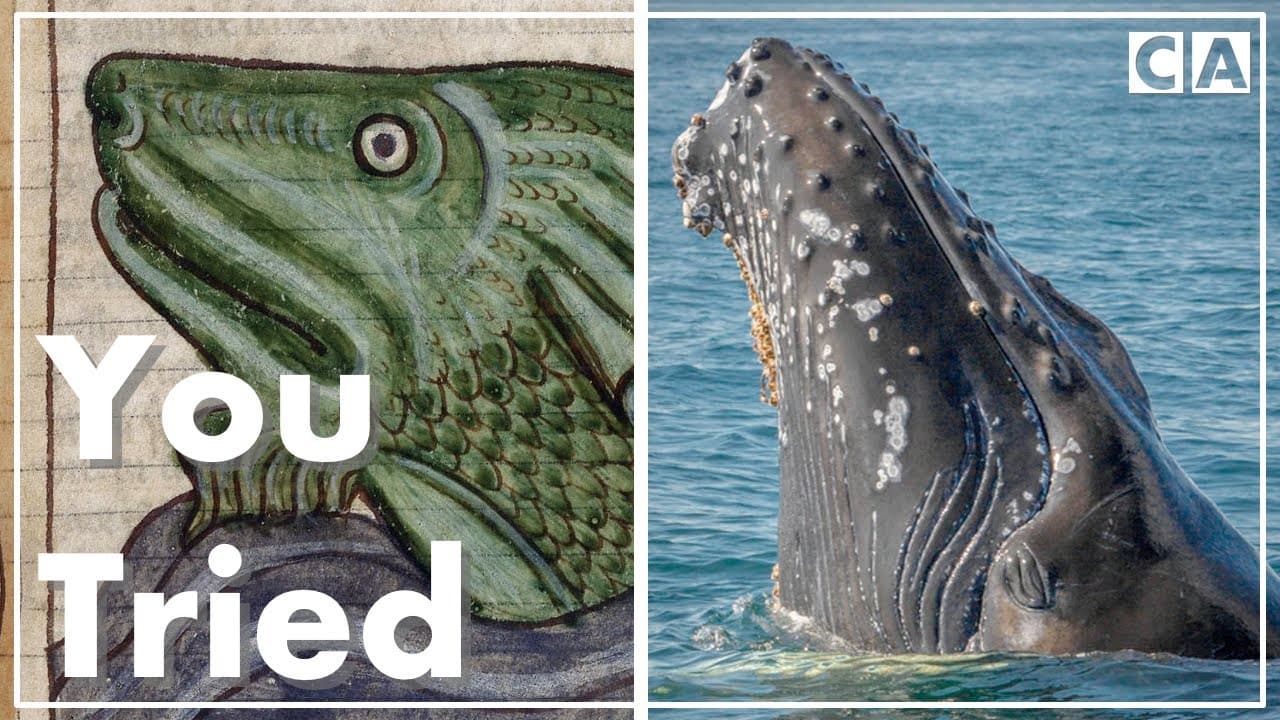 Why Animals Look So Strange in Medieval Manuscripts