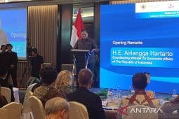 Rupiah slips past Rp17,200 per dollar as minister urges caution