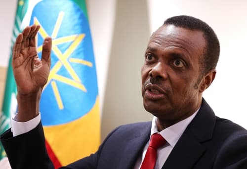 (Yonhap Interview) Ethiopia seeks 'climate-resilient, inclusive' development cooperation with S. Korea: top envoy