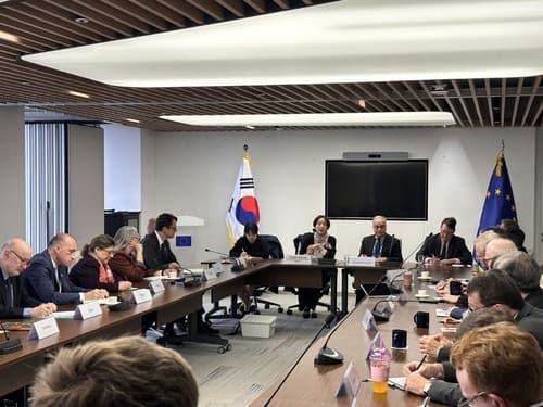 Deputy FM stresses cooperation with EU on supply chains in meeting with envoys