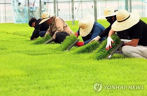 S. Korea to accept record 93,500 foreign seasonal workers for agriculture sector in H1